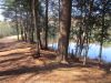 Lithia Springs Reservoir, Western Ma