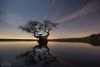 Cypress Lake - Mac Stone by SorryDangDog in Hammock Landscapes