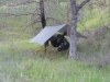 Henry Coe Sp by Lynx in Hammock Landscapes