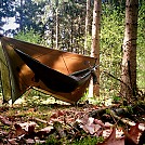mixed forest hang by ThinBlueLine in Hammock Landscapes