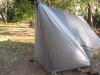 Son Of Beak by GrizzlyAdams in Tarps