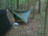 Panther Creek Trail 5/27/07 by FanaticFringer in Hammock Landscapes