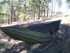 Warbonnet Blackbird by warbonnetguy in Hammocks