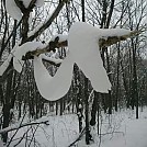 Snow Garland by TwistingInTheWind in Hammock Landscapes