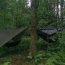hammock by IckyTheGreat in Hammock Landscapes