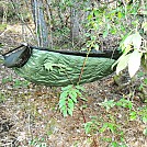 campsites on SC Foothills Trail by Stumblefoot in Hammock Landscapes