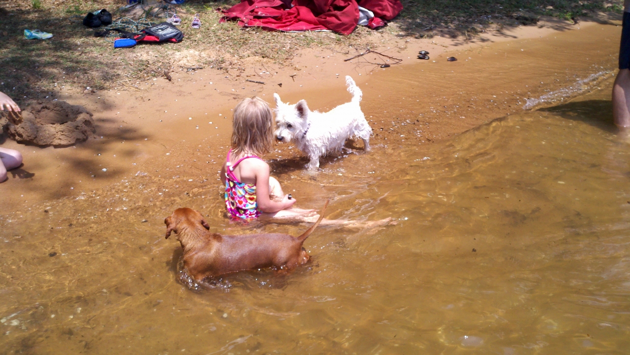 Goat Island, Lake Greenwood, Sc