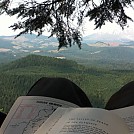 Tree top hang