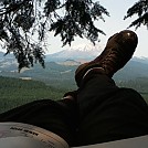 Tree top hang by Benson Burner in Hammock Landscapes