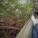 Stealth napping by Majortom in Hammock Landscapes