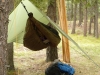 Hammocks Near The Wallowas In Northeast Oregon by hikingjer in Hammocks