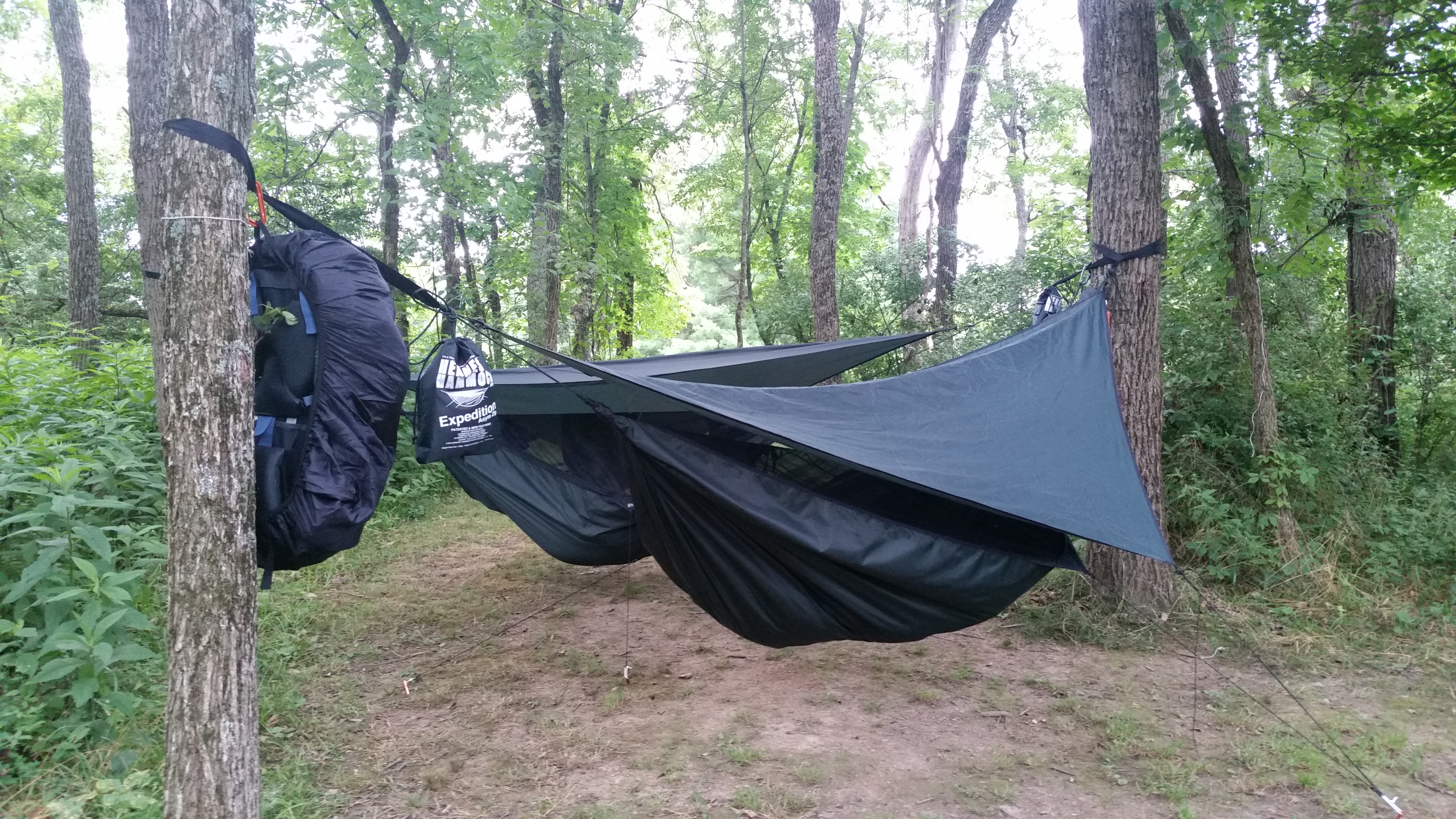 Camp Hammock