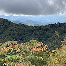 Newfound Gap in the GSMNP