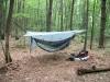 Hawk Mtn Camp At by Gnome77 in Hammock Landscapes