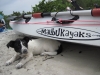 2010 05 01 Tiki Under Kayak 1