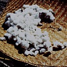 Tree cotton used for weaving a Waiwai hammock by jellyfish in Hammocks