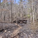 Burned Trail 2