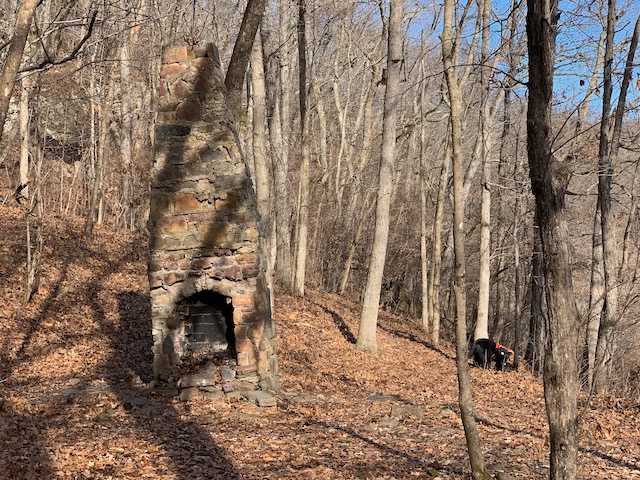 Fireplace in the Woods