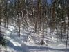 Snow Shoe Trip In Algonquin Provincial Park, Feb 2013