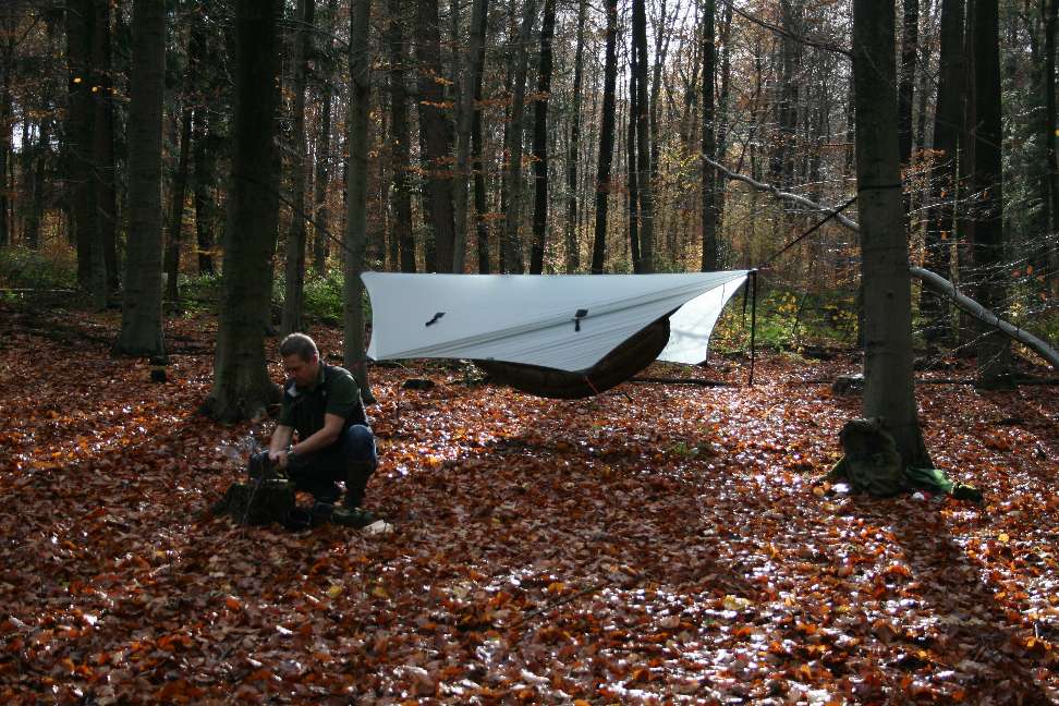 Hammockin' In The Homely Woods In Fall Colors