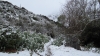 Snow In The Superstitions by Sarae in Hammock Landscapes
