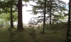 Campsite View, Lake Monroe