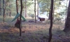 View Of Campsite by SinisterMinister in Group Campouts