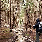 Dolly Sods Wet trail! by cmoulder in Hammock Landscapes
