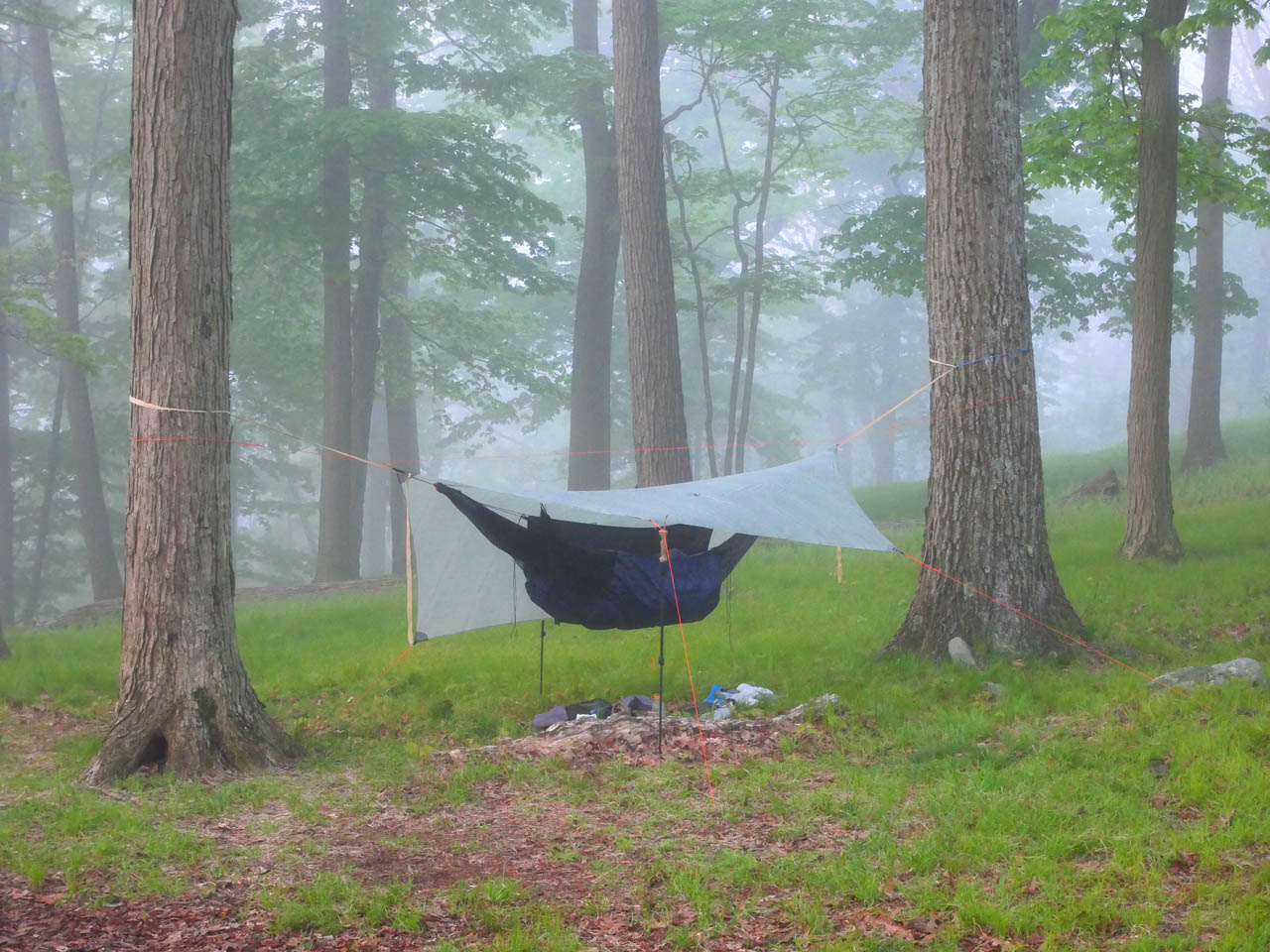 Fog with hammock setup 01