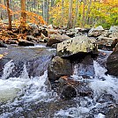 Lewis Brook, Harriman State Park, NY by cmoulder in Hammock Landscapes