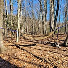 TreeRunner test hang by cmoulder in Hammocks