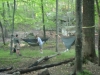 At Near Lamberts Shelter by jeffjenn in Hammocks