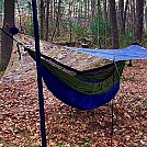 little pine frozen hang nov 21 by Nate7101 in Hammocks