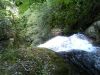 34s-laurel Fork Falls by Damifino in Hammocks