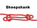 Sheep Shank