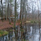 Denmark Sjlland Winter  January 2020 by Lundkvist in Hammock Landscapes