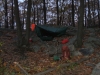 Harriman SP NY Nov by Sasquatch in Hammock Landscapes