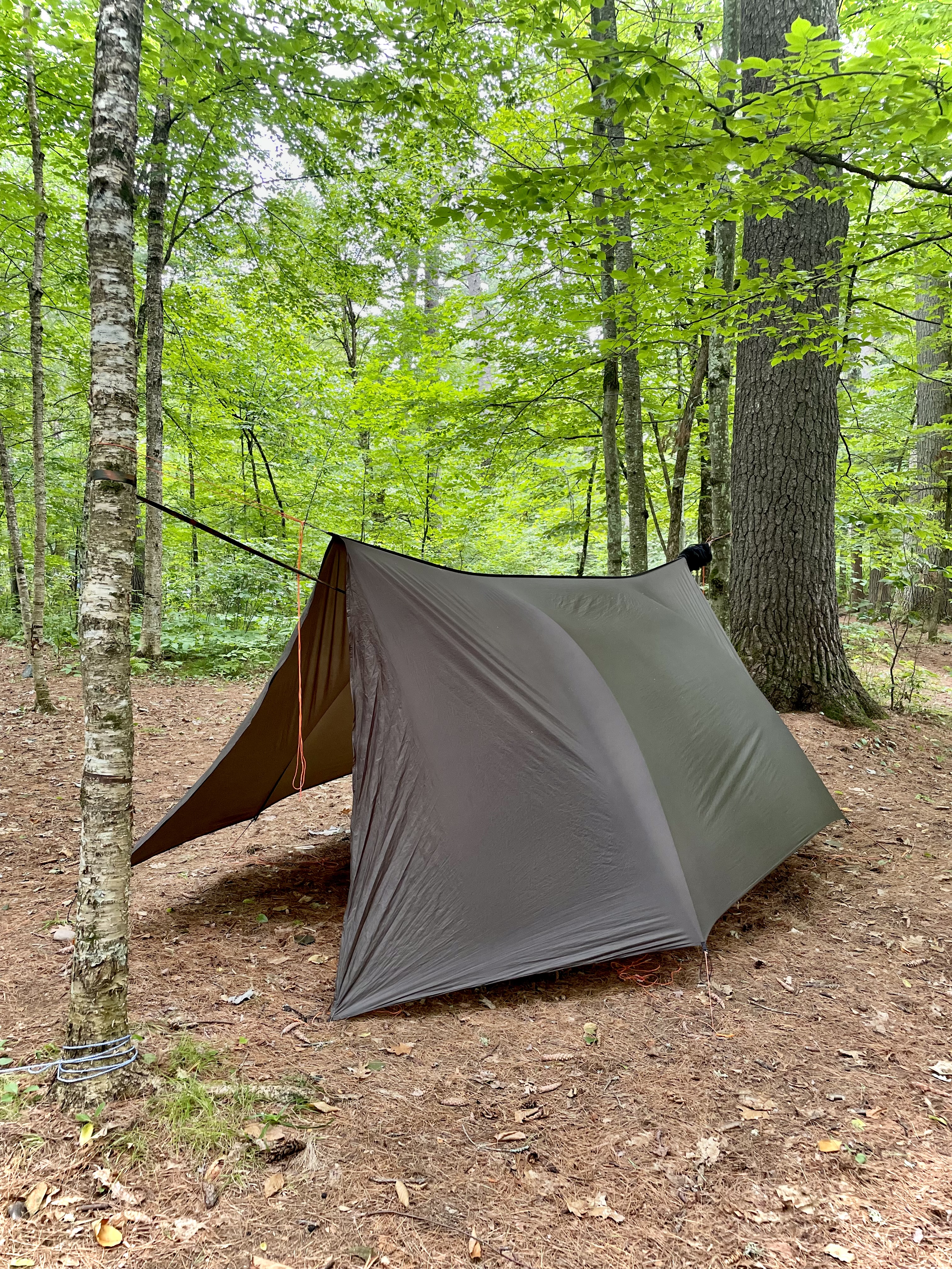 Super wide tarp, floppy door fabric