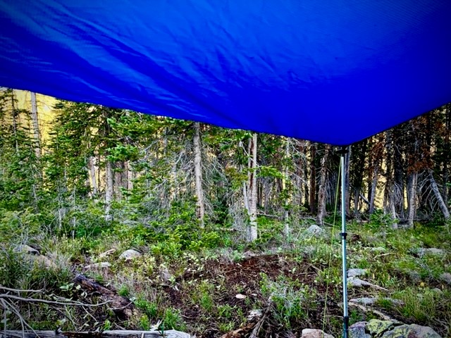 Morning from Hammock