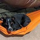 Zoey's Hammock by Caffeinated in Homemade gear