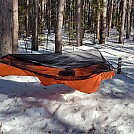 Hammocks